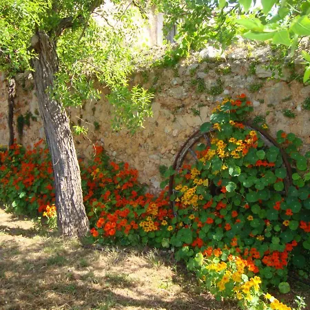 Son Pons Buger
